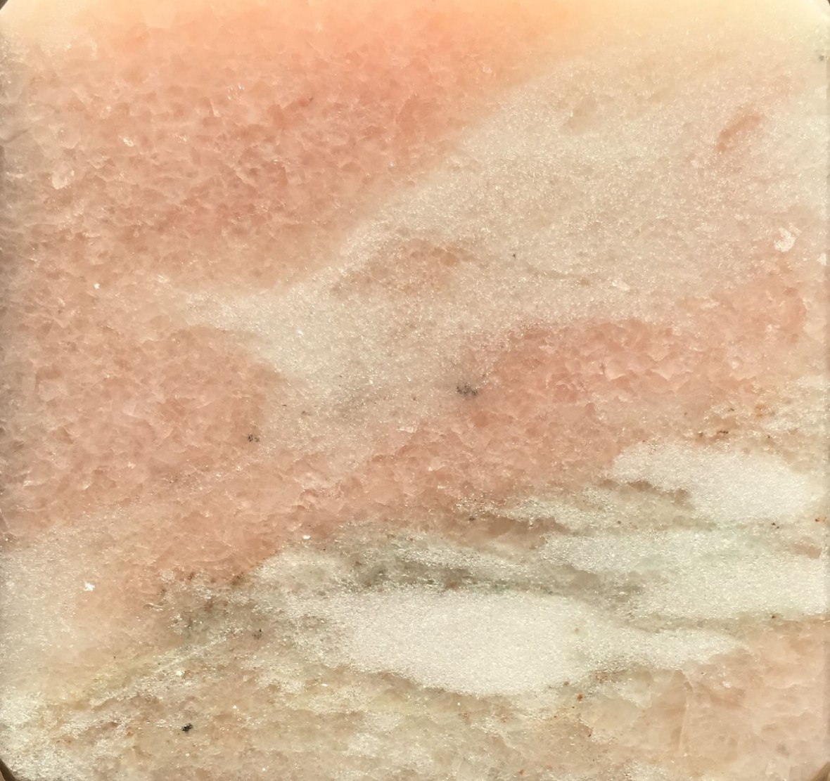 PN.0081 Norwegian Rose