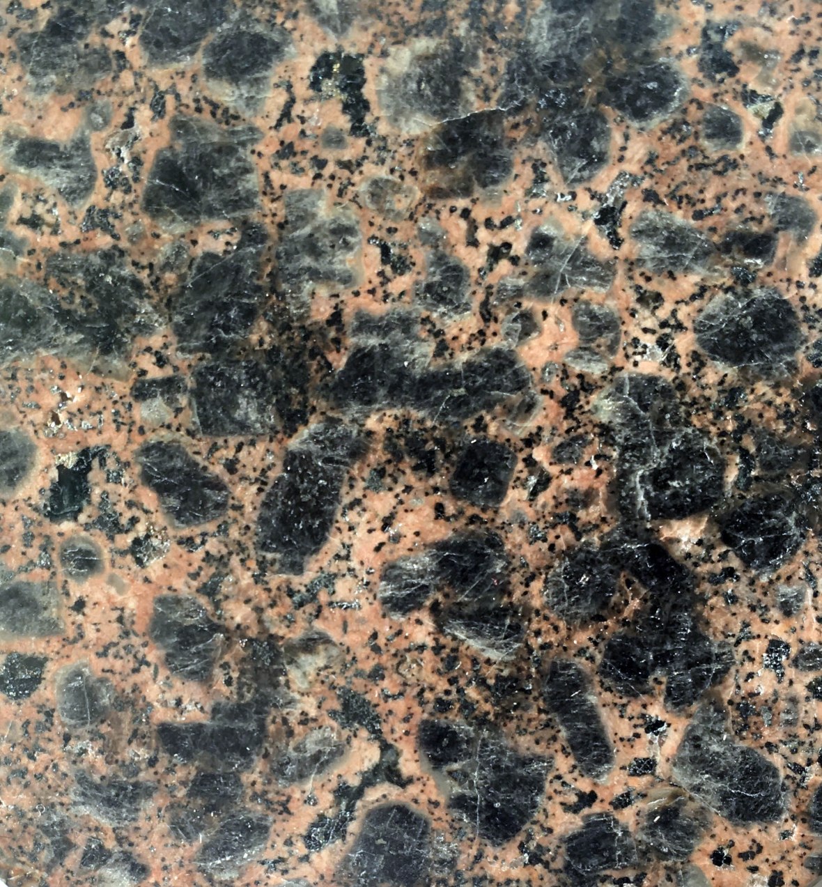 pn-0141_kjelsasitt-re