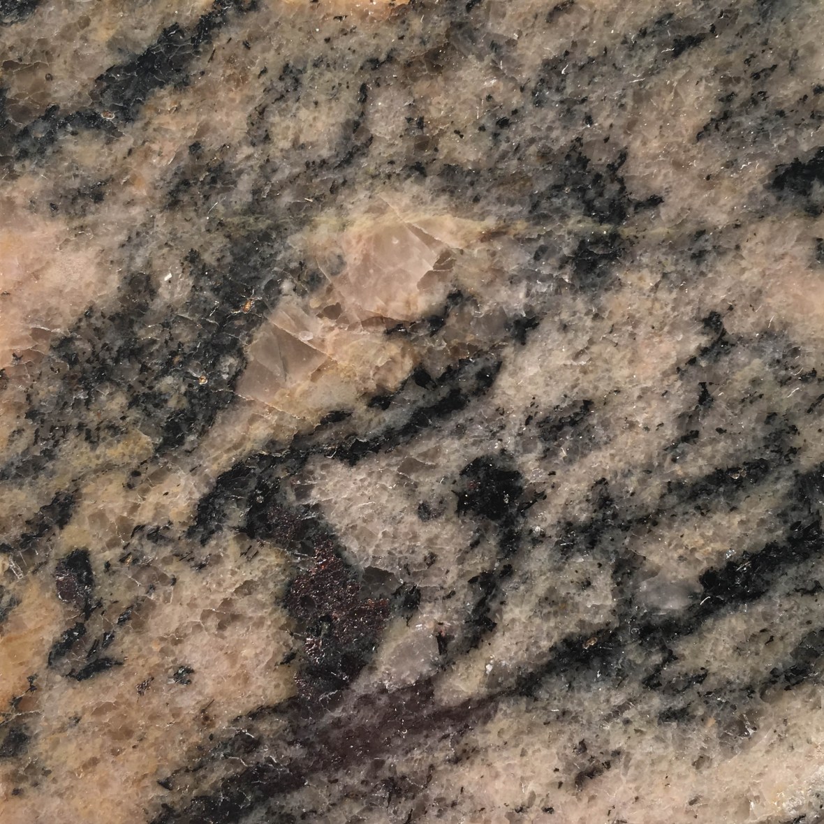 pn-0149_granittisk-gneis-moss