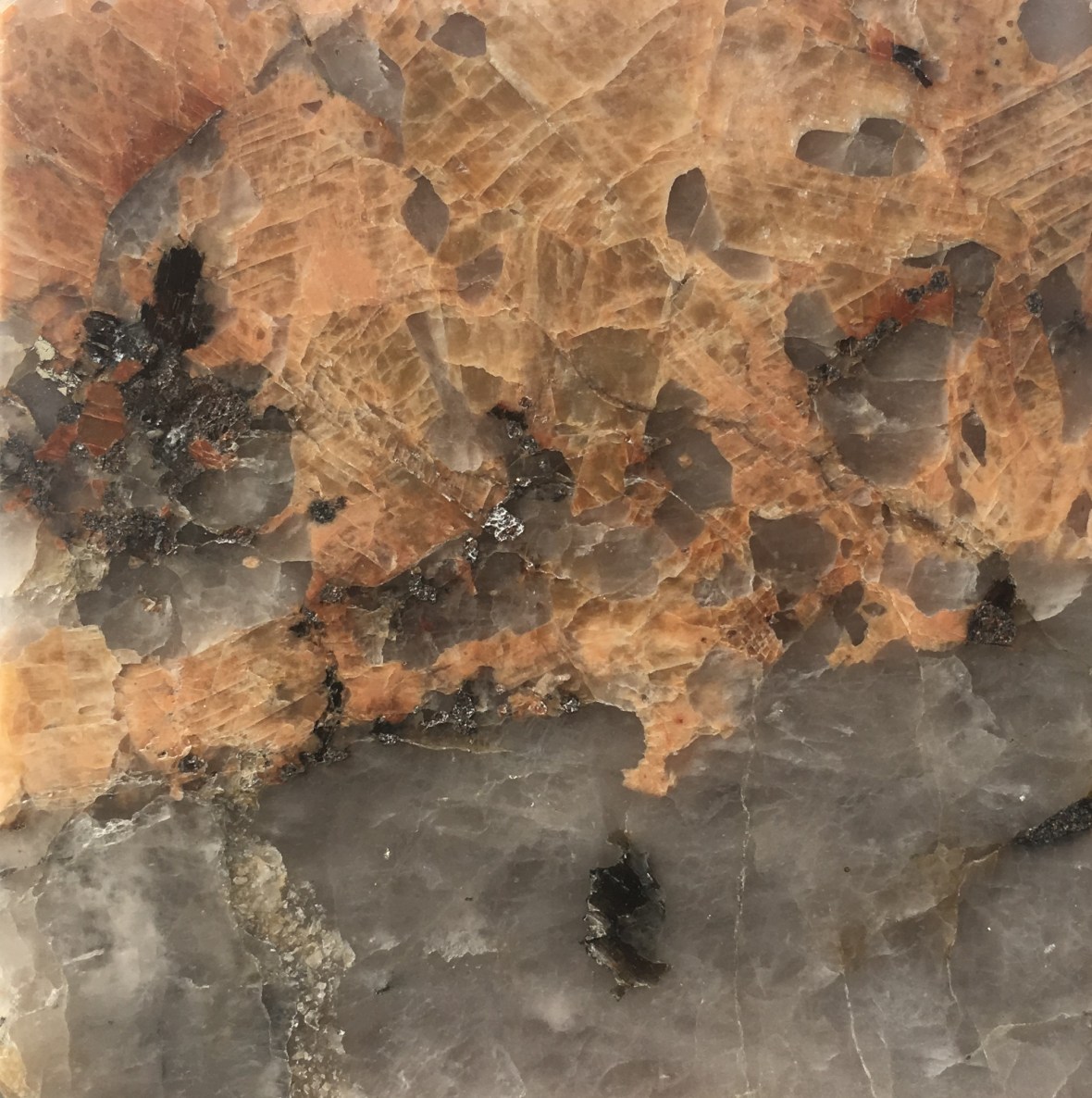 N.0159 Pegmatitt, Moss