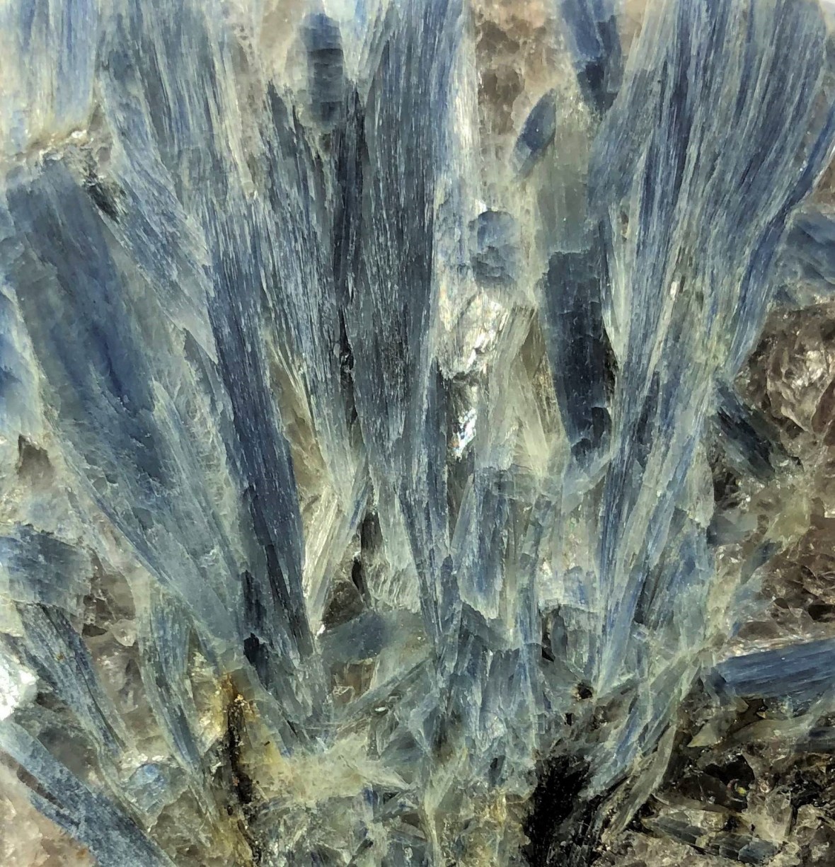 PN.0221 Kyanitt, Selbu