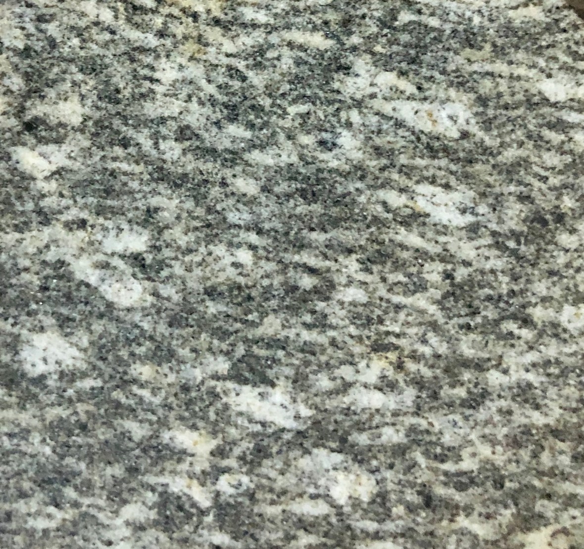 N.0277 Gabbro, Galdhøpiggen