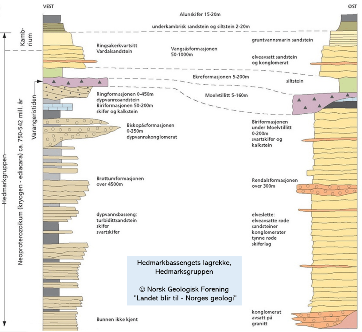 Hedmarkgruppen - oversikt_2